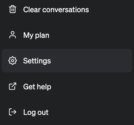 Setting Button on ChatGPT Plus Account